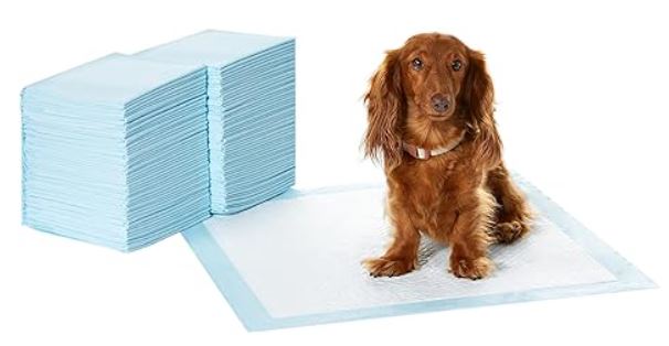 Dog and Puppy Pee Pads 150CT  22X22 inches